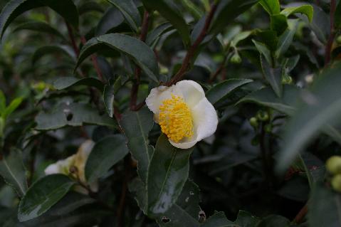imgp1838.jpg